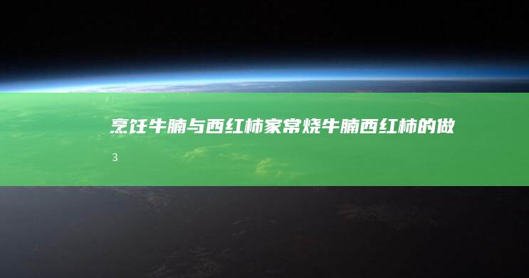 烹饪牛腩与西红柿：家常烧牛腩西红柿的做法